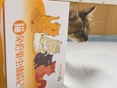 -联合动物医院(光谷诊疗中心)