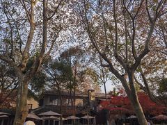 -知味观(湖滨总店)