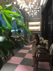 -蜜丝卡伦美甲美睫连锁