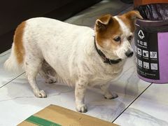 -雪乡人家东北菜·铁锅炖一切(高斯路店)