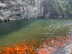 -楠溪江风景名胜区