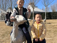 -九十九顶毡房(阜石路店)