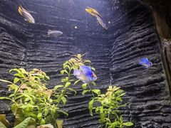 -上海海洋水族馆