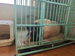-小时光咖啡馆(开森度假森林店)