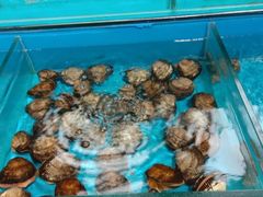 -雅逸居海鲜小厨