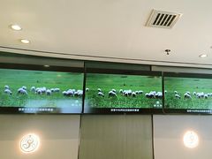 -蝎王府羊蝎子(西直门店)