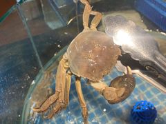 -争先鲜·蒸汽海鲜自助·鲜切牛肉