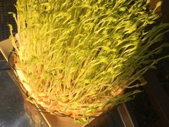 -巴倒烫陆派火锅山庄(南山总店)