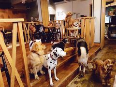 -萌喵咖啡屋(人民东路4号口M16商铺店)