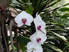 -北京植物园-展览温室