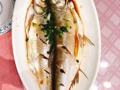 清蒸鲜白鱼-西新饭店(城中店)