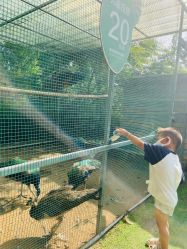 -萌宠亲子动物乐园(槐房万达店)