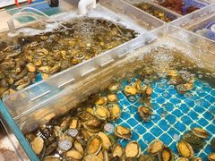 -美盛喜来登大酒店-盛宴标帜餐厅