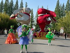 -黄海国家森林公园