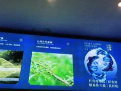-大河宴·椒麻鱼火锅(克拉玛依西路头宫店)