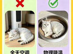 -瑞鹏宠物医院·骨外科·心肾科·肿瘤科(九亭店)
