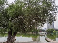 -青城公园