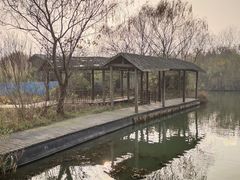 -溱湖国家湿地公园