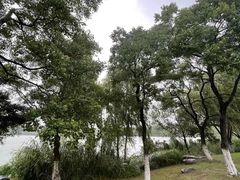 -九里河湿地公园