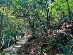 -宁波市保国寺古建筑博物馆