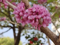 -白塘生态植物园