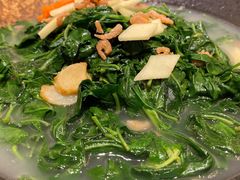 上汤辣椒叶-沙龙酒家