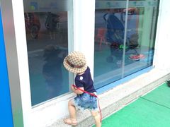 -四叶草托育园(张江园店)