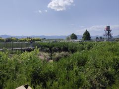 -亲兄弟真人CS团建拓展基地