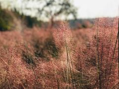 -艾溪湖湿地公园