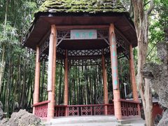 -望江楼公园