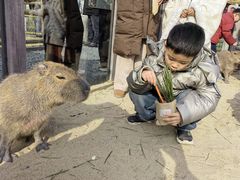 -茅山东方盐湖城景区