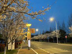 -太湖湖滨国家湿地公园-停车场