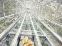 -汕尾铜鼎山旅游区