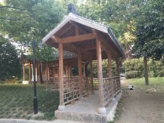 -体汇+名都体育公园足球场