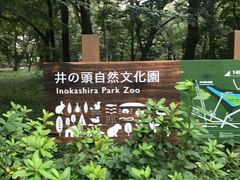 -井之头恩赐公园