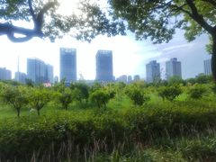 -天鹅湖体育公园