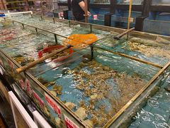 水产区-金水门银河酒楼(新埠岛店)