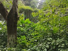 -广西壮族自治区药用植物园