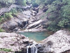 -广州白江湖森林公园