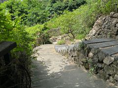 -青青世界