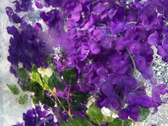 -长春公园(普阳街道)