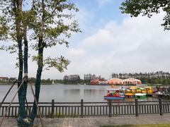 -上海长兴岛郊野公园