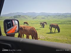 -新疆那拉提国家旅游度假区