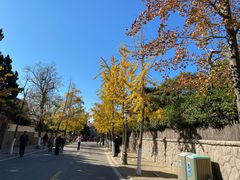 -八大关景区
