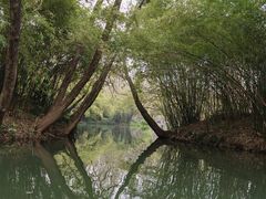 -西湖游船