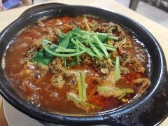 砂锅羊肚-砂锅店