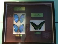 -上海昆虫博物馆