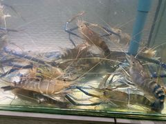-光海鲜鱼翅餐厅(叻差拉披色路店)