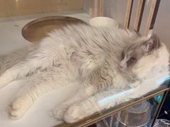 -老炮儿轰趴团建KTV桌游棋牌主题馆(五道口店（底商店))