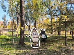 -森林公园(尖草坪区)